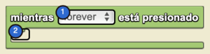 The While Toggled Block