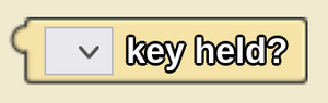 Key Held Block